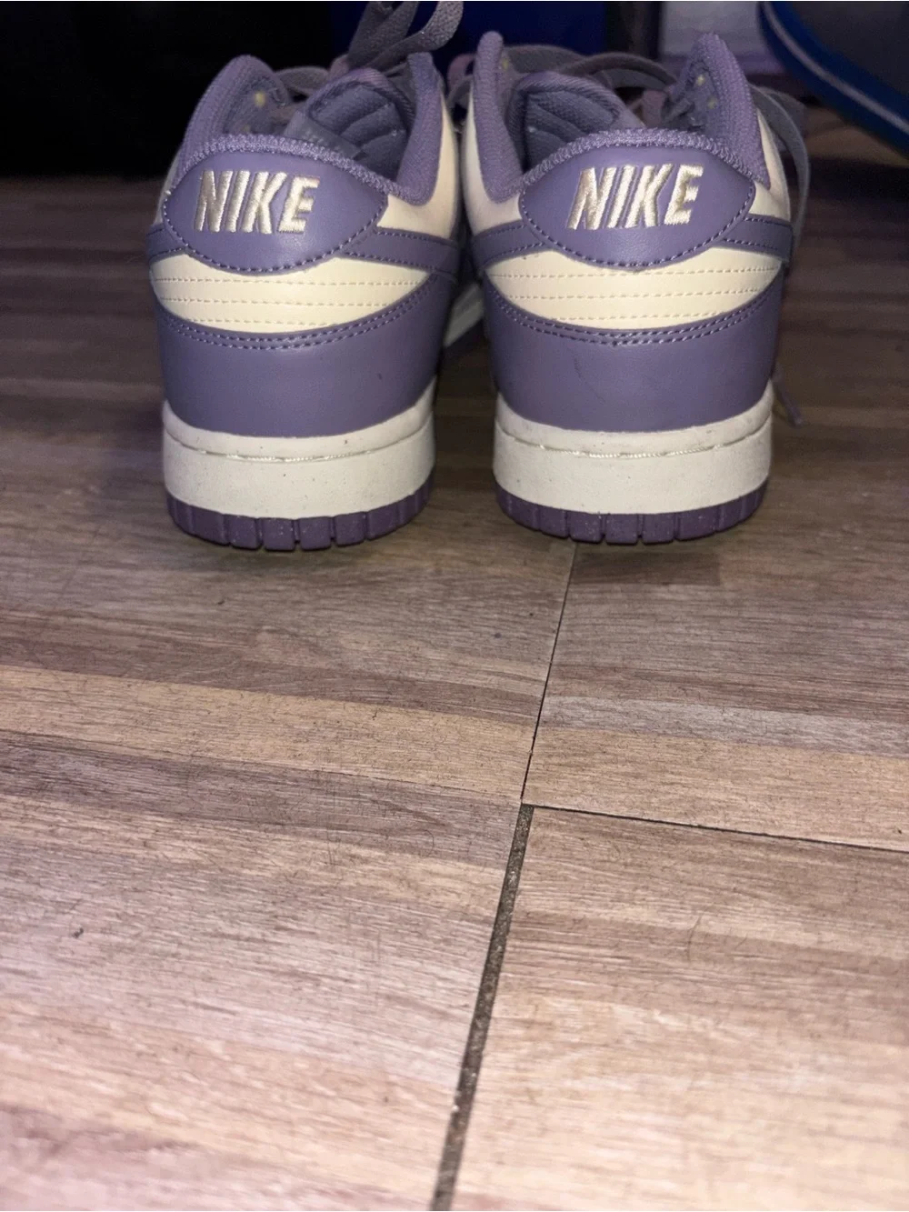 Nike Womans Dunk Low Next Nature 'Daybreak'